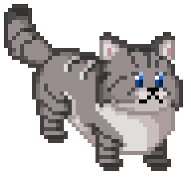 Persian Cat