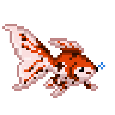 Koi Gold Fish