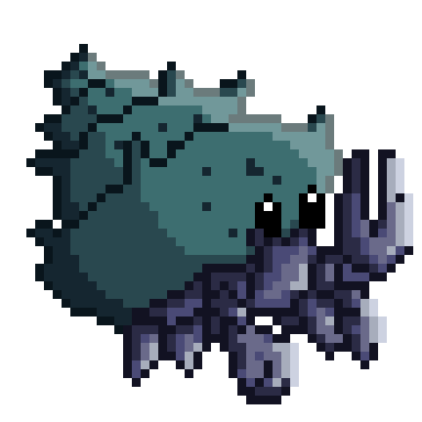 Hermit Crab